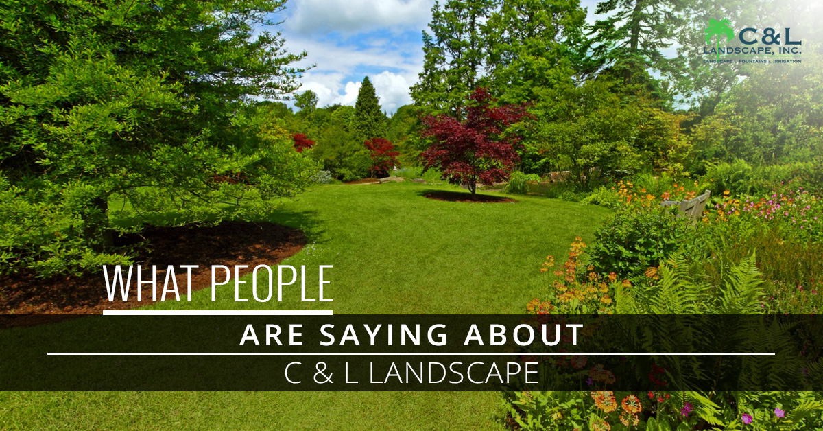 What-People-Are-Saying-About-C-L-Landscape-5a01f633bf58e