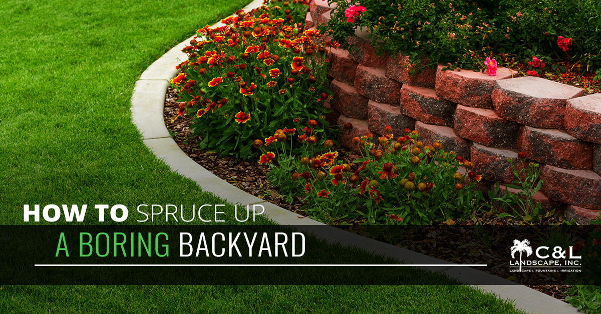 How-To-Spruce-Up-A-Boring-Backyard-5b92d36c1138f
