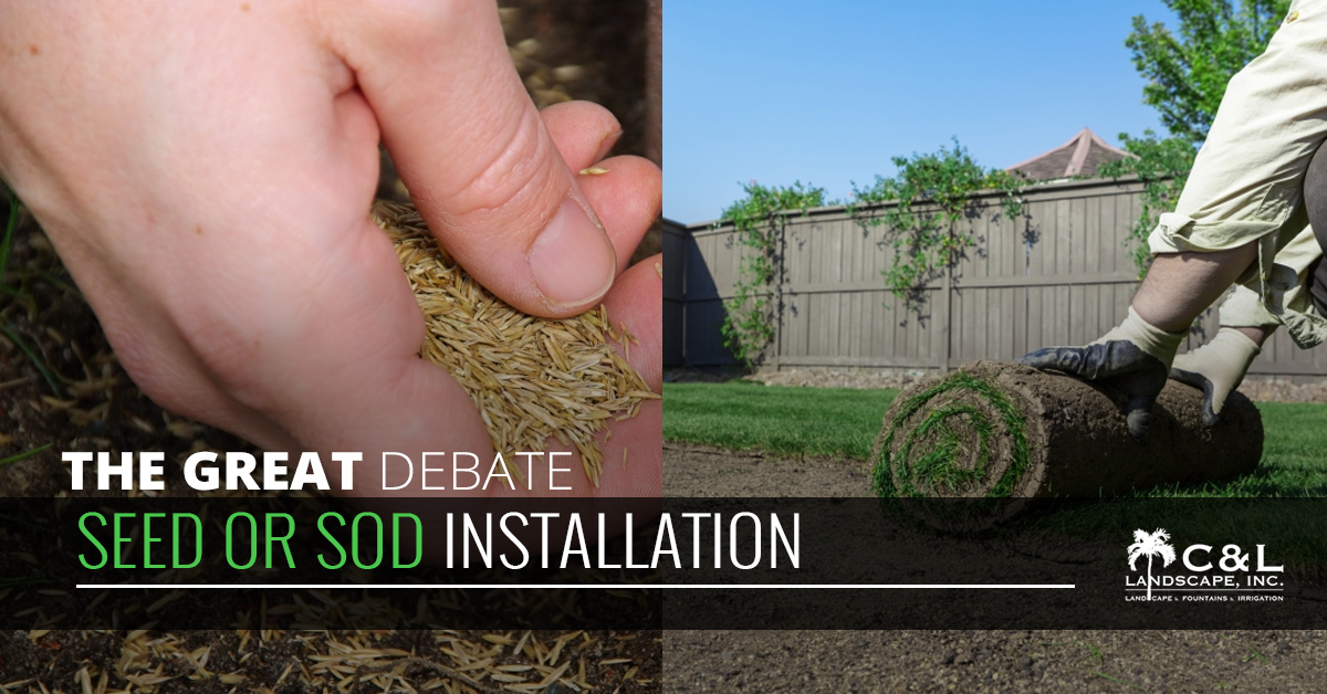 The-Great-Debate-Seed-Or-Sod-Installation-5be07adf13454
