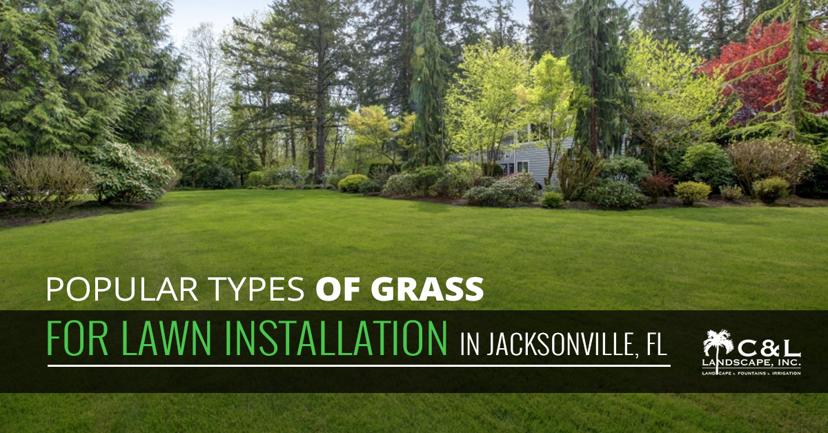 Popular-Types-Of-Grass-For-Lawn-Installation-In-Jacksonville-FL-5be080200e32f