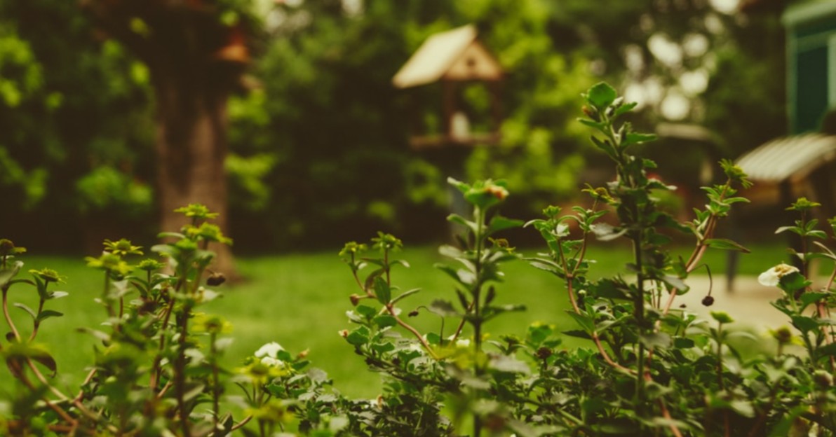 banner-6005c68b6c97c banner-6005c68b6c97c