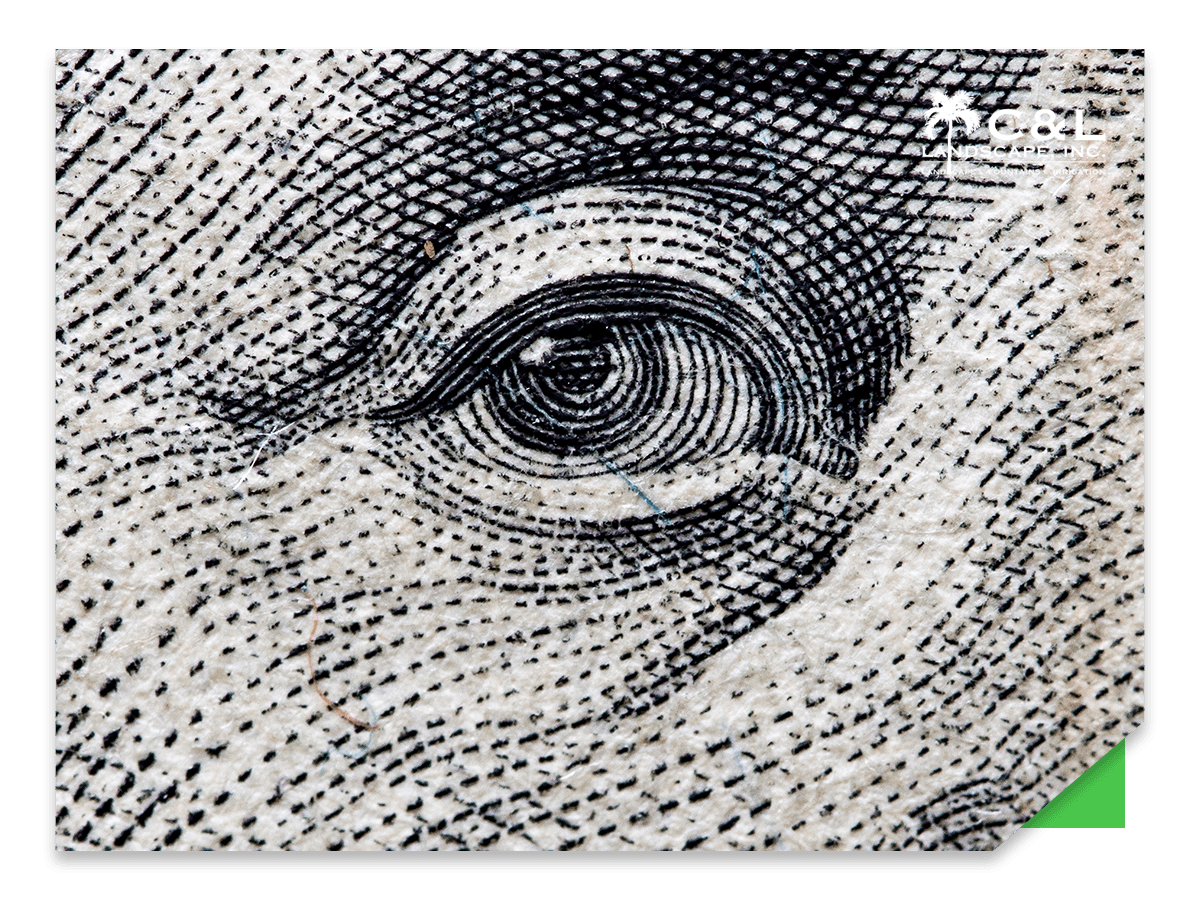 close up of money