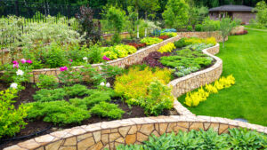 Plants For Landscaping