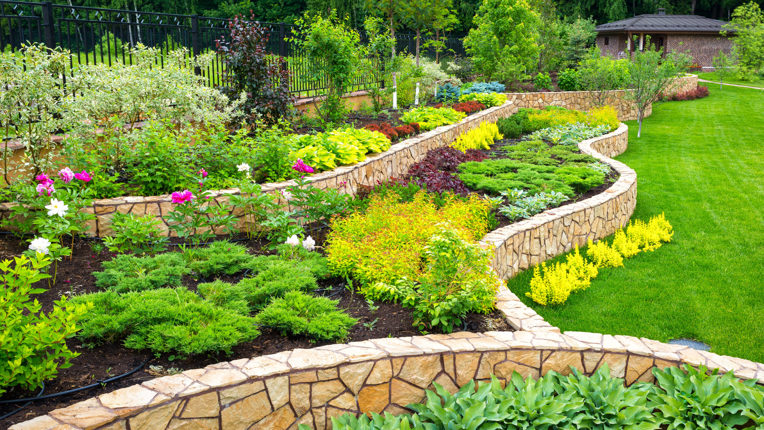 Plants For Landscaping