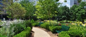 commercial landscaping designs