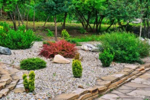 Where to Buy Landscaping Rocks